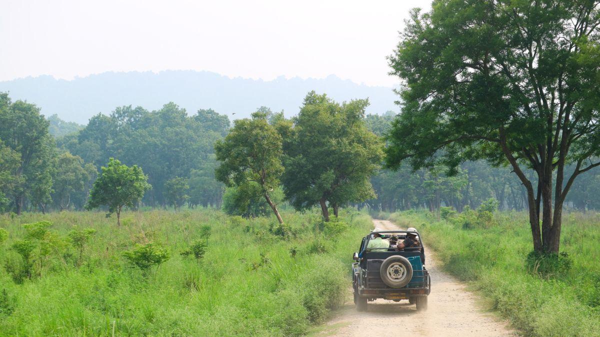Hostels in Jim Corbett