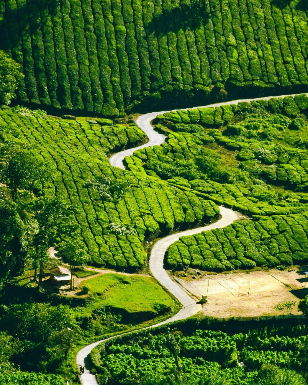MUNNAR