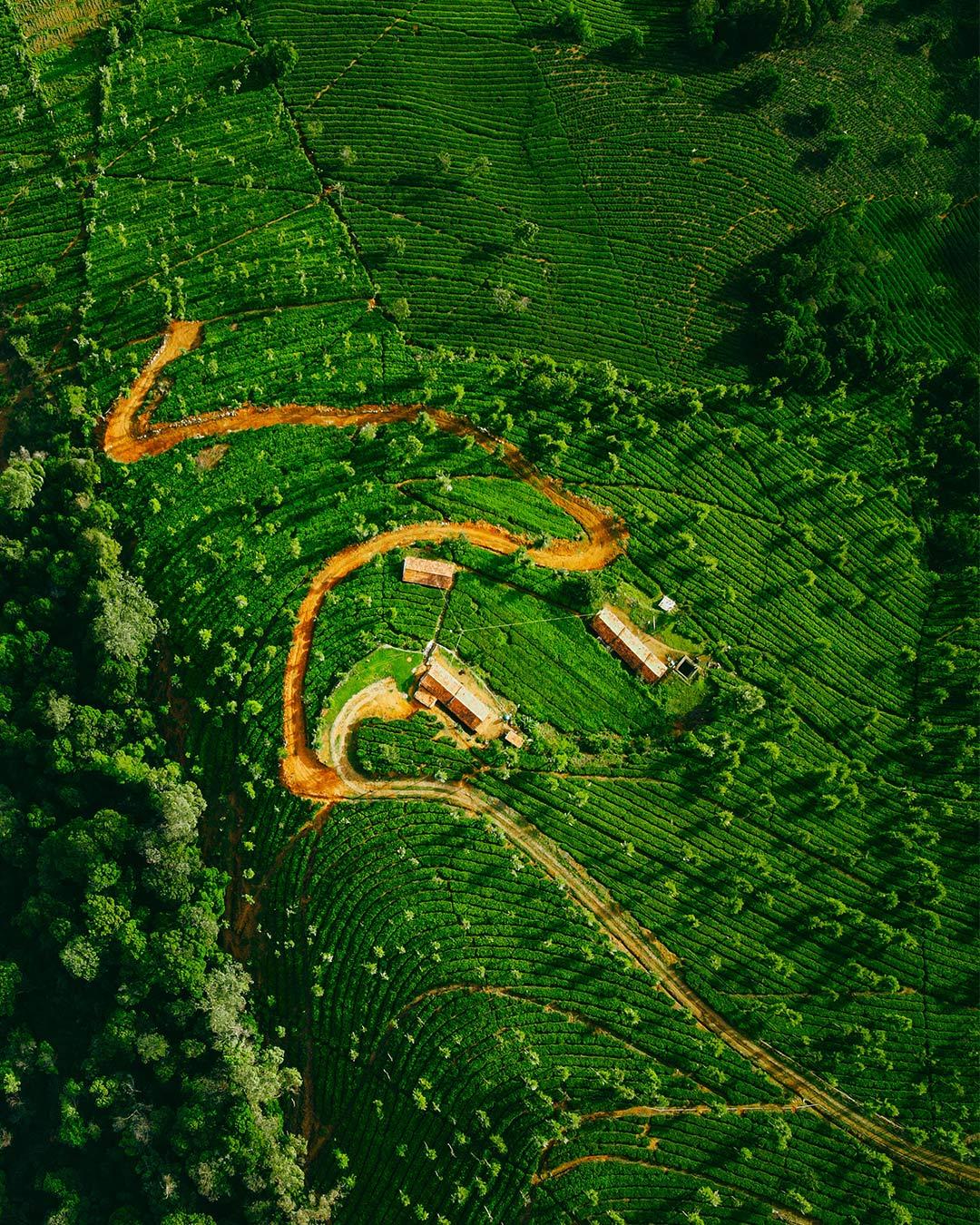 OOTY