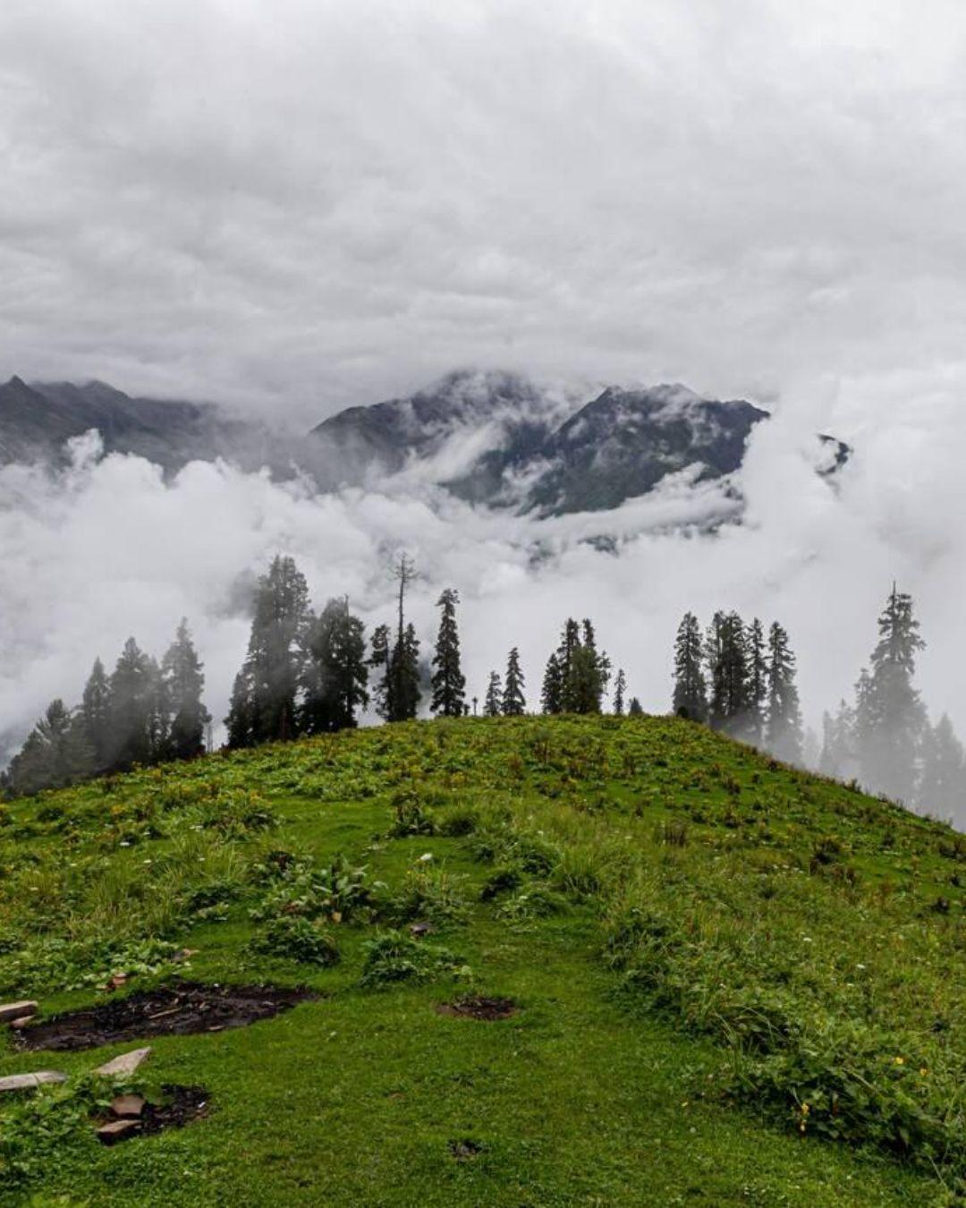 Kasauli