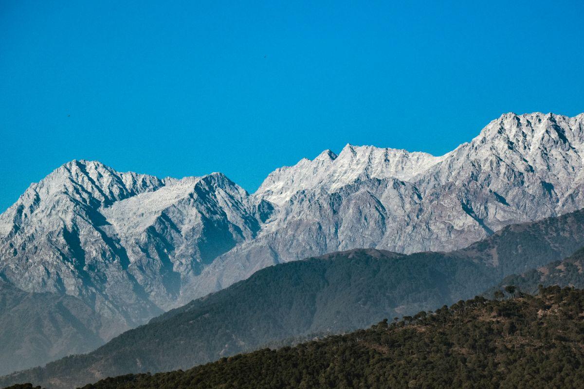 The Hosteller Dharamshala