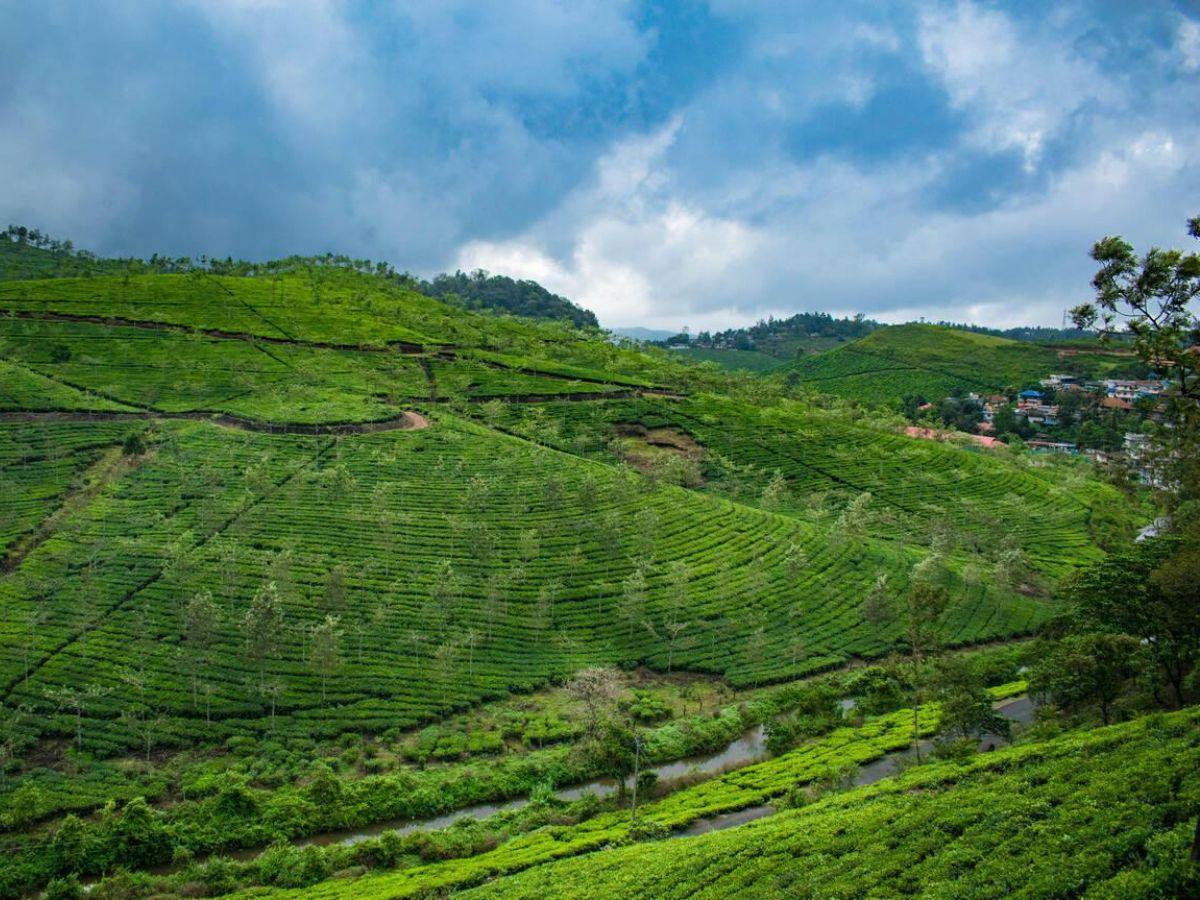 10 fun things to do in Vagamon, Kerala’s best-kept secret!