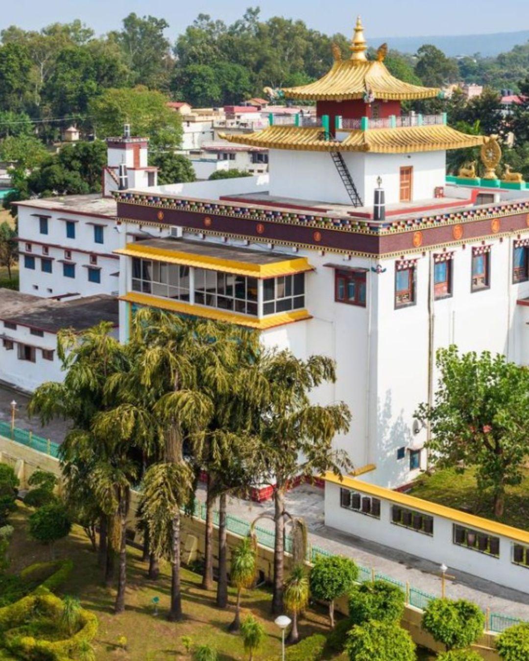 The Hosteller Bam Dehradun, City Centre