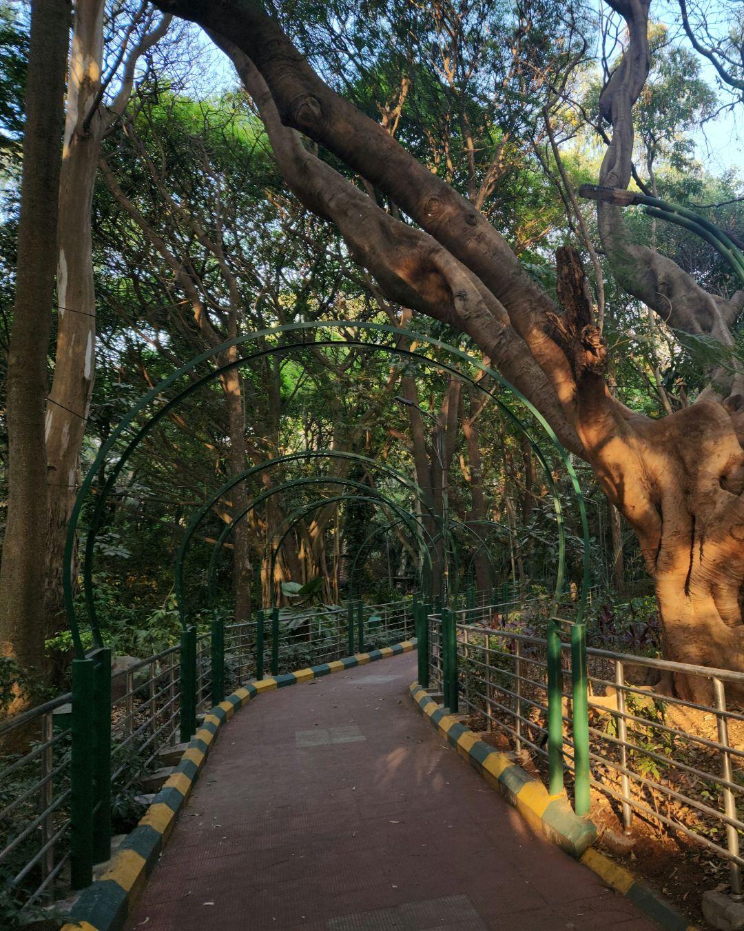 The Hosteller Bangalore, HSR Layout