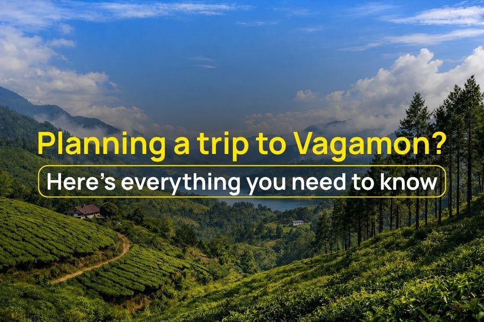 Planning a Trip to Vagamon? Here’s Everything You Need to Know