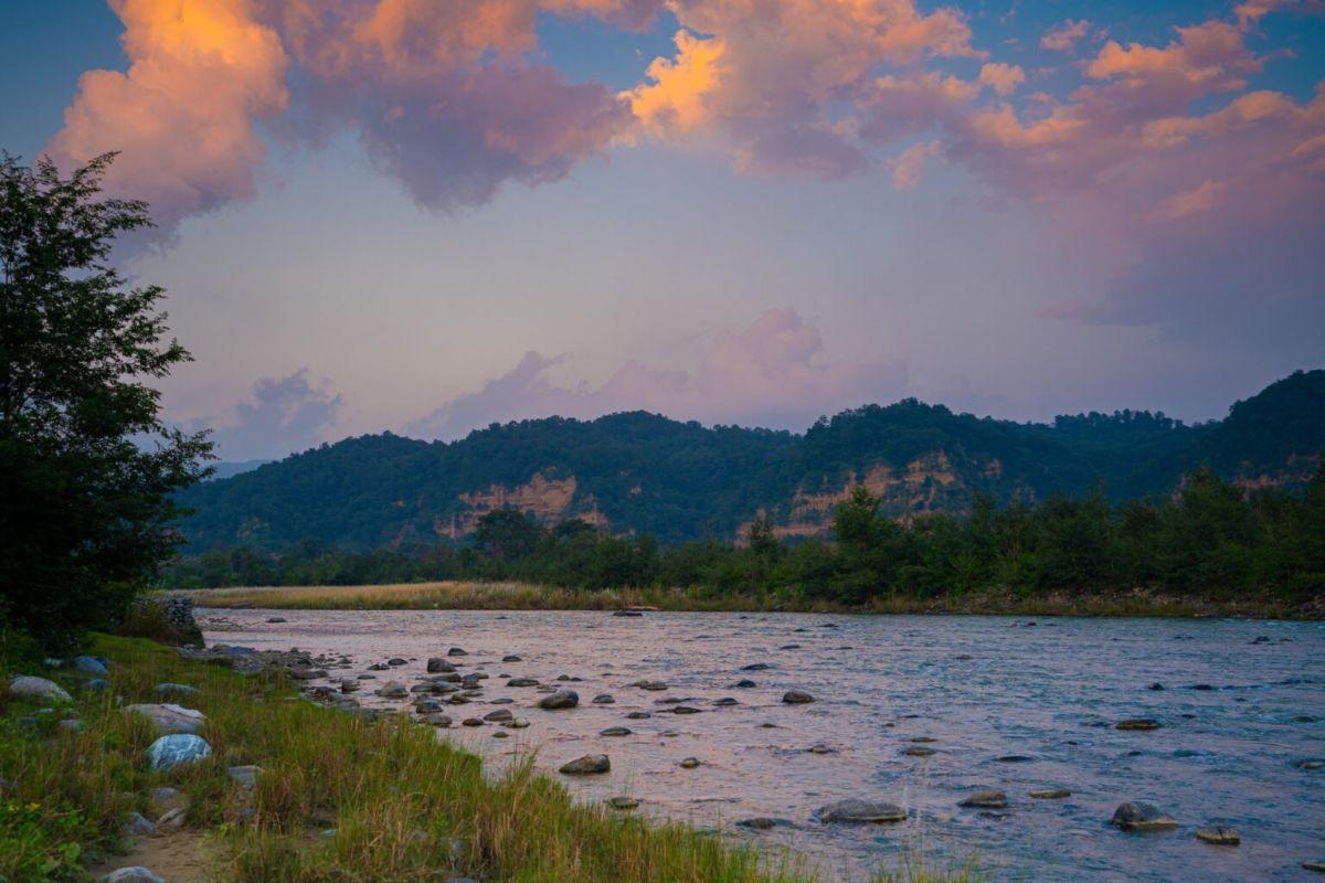 The Story Behind Jim Corbett's Unique Name