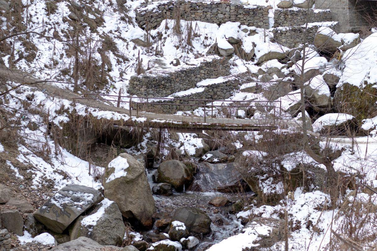 Love Disney? Then You Need To Explore The Fairy Forest Of Pulga