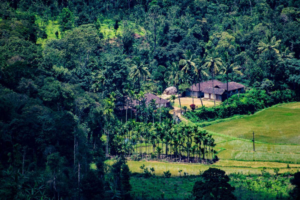 5 Places Near Bangalore To Visit Next Weekend