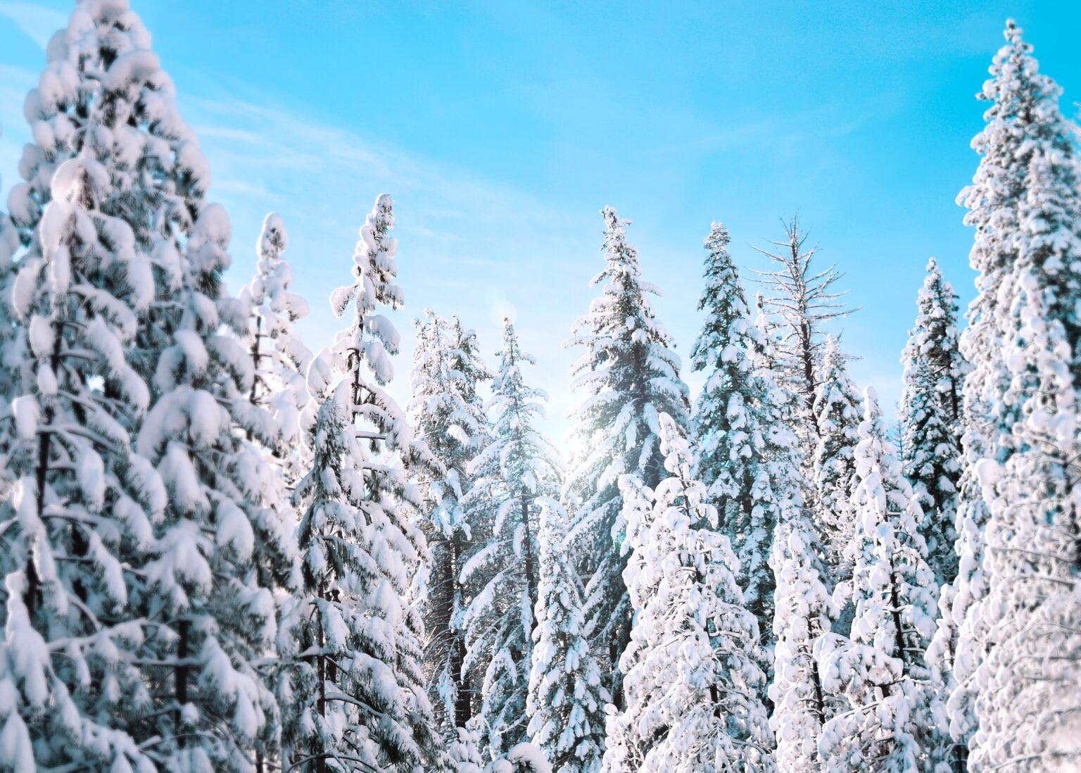 Top 5 Destinations To Watch Snowfall In 2022