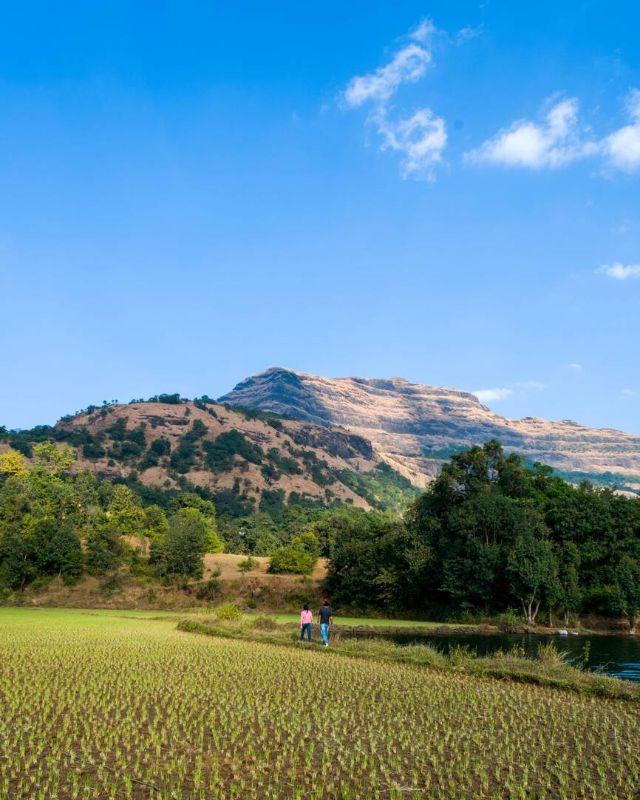 Hostels in Bhandardara