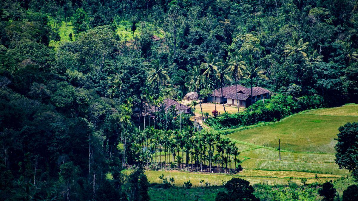 Hostels in Coorg