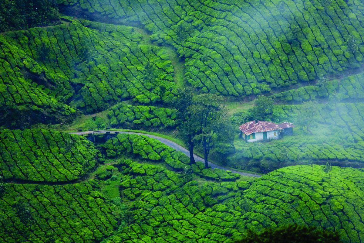 Hostels in Kerala