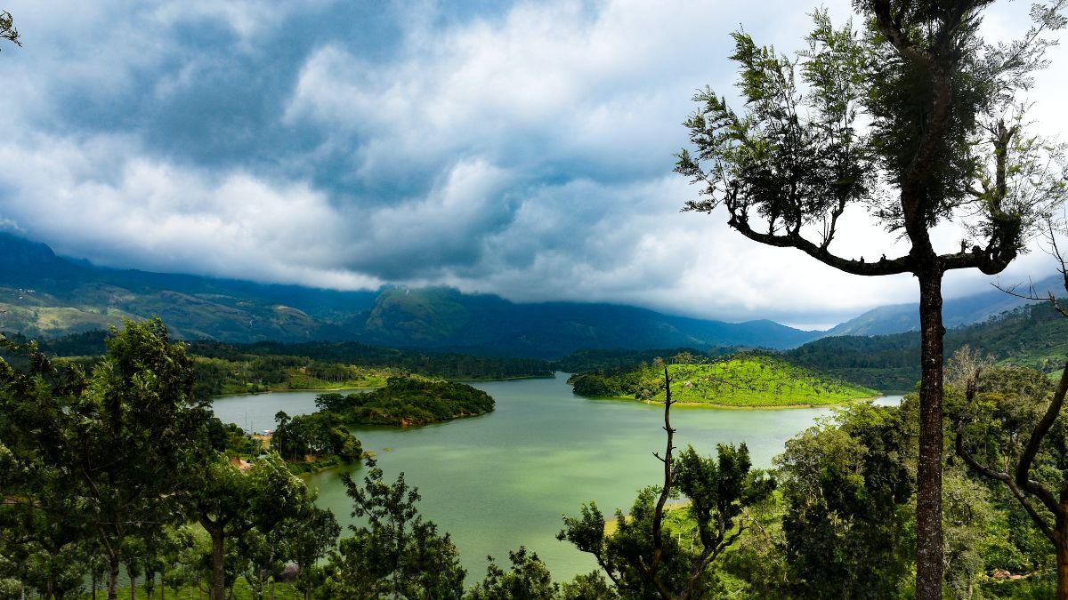 Hostels in Munnar