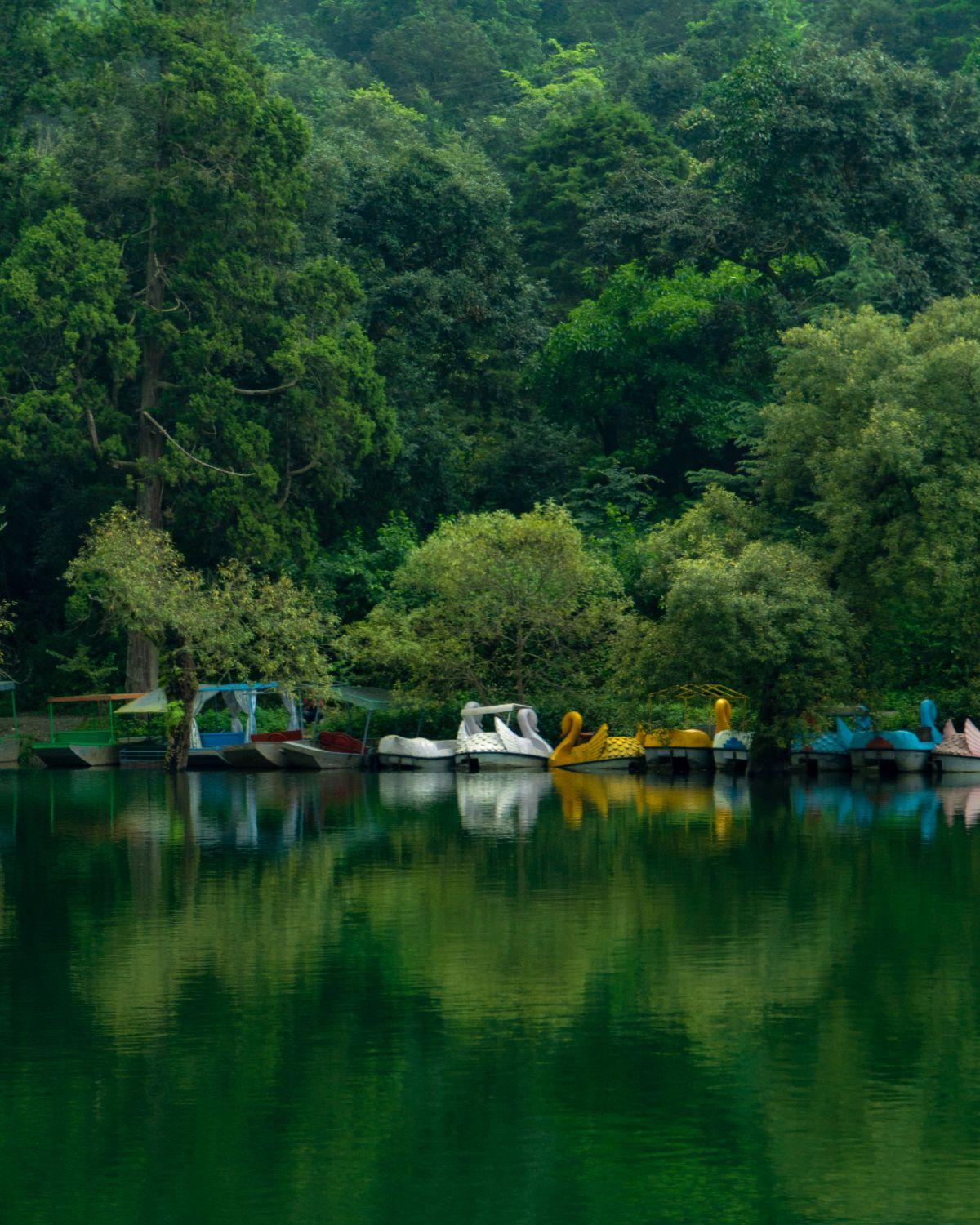 Naukuchiatal