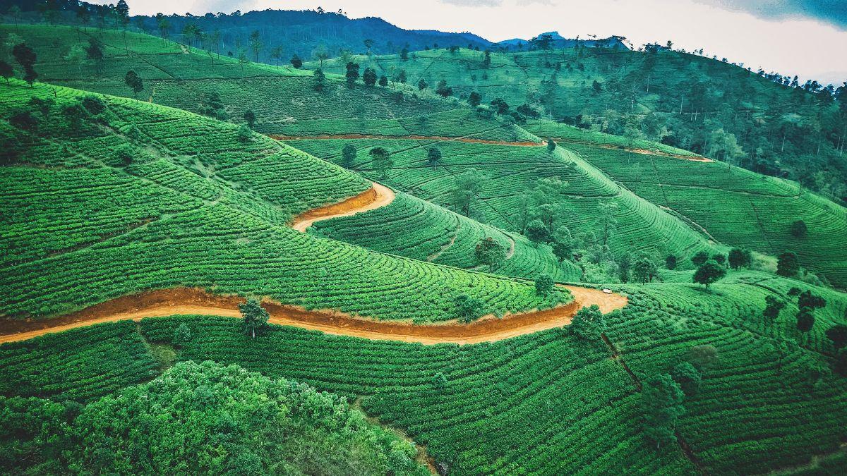 Hostels in Ooty