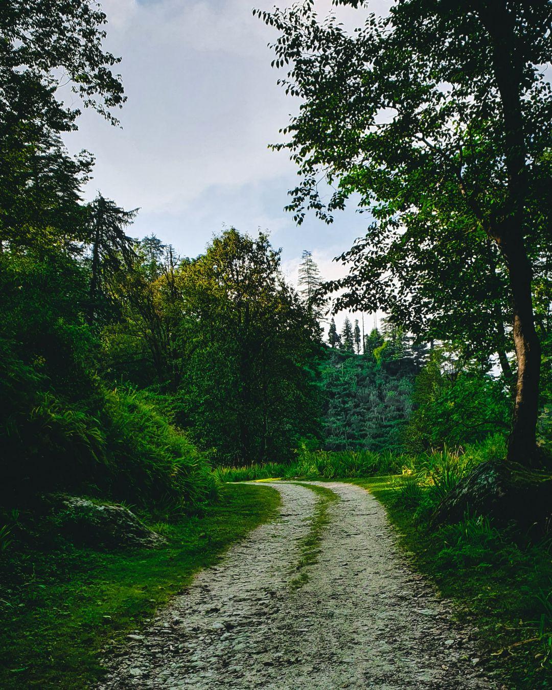 Himachal