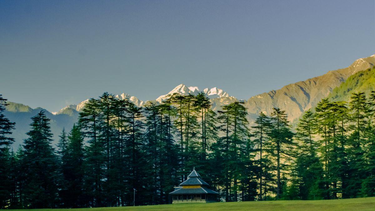 Hostels in Shangarh