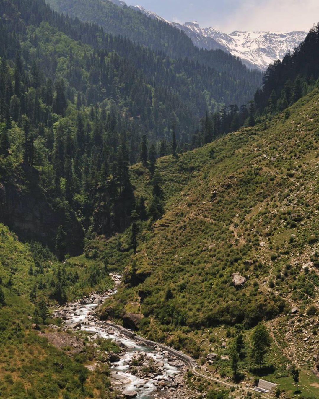 The Hosteller Manali, Old Manali