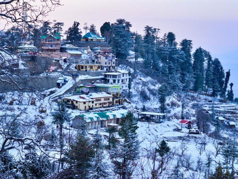 The Hosteller