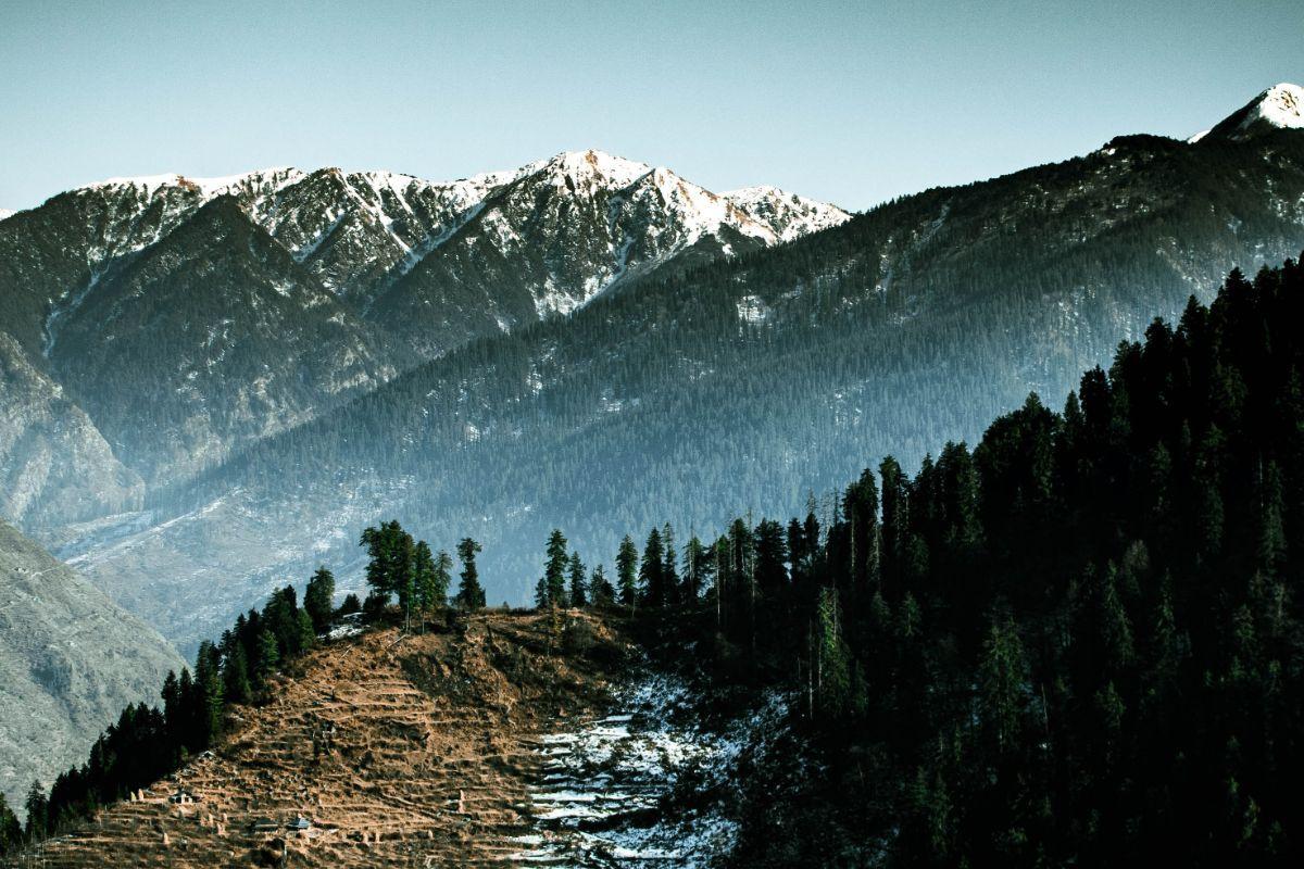 All The Things To Do In Tirthan Valley